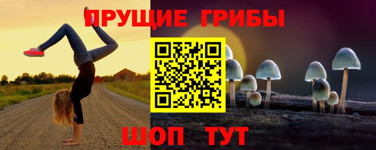 Галлюциногенные грибы Cubensis Пыть-Ях